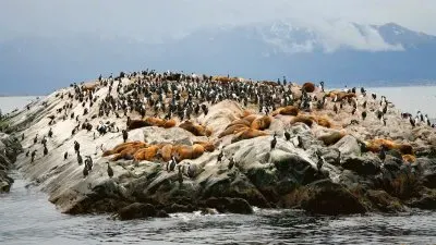 Islas de Tierra del Fuego. Argentina jigsaw puzzle