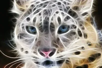 animais jigsaw puzzle