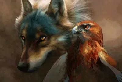 animais