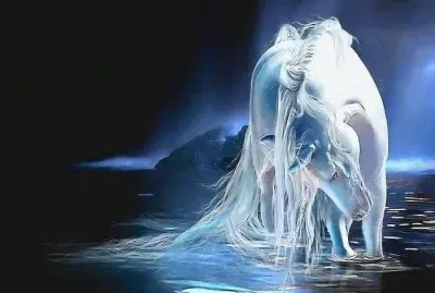 animais jigsaw puzzle