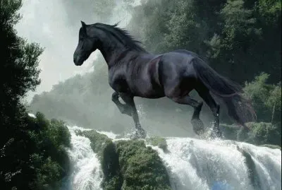 animais jigsaw puzzle