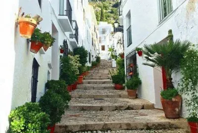 Calle decorada con plantas