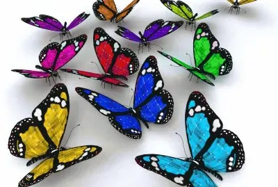 yl.t5 tzz bnnkjuzt43rfc