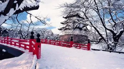 NEVE