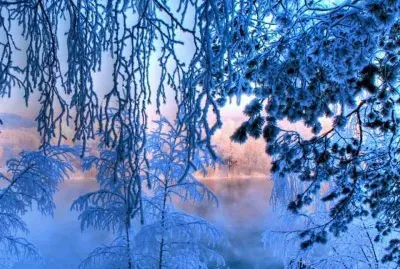 NEVE