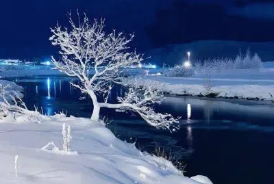 NEVE