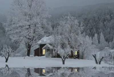 NEVE