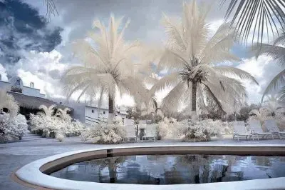 NEVE