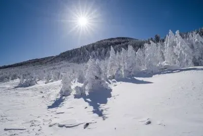 NEVE