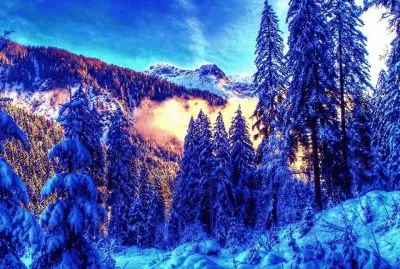 NEVE