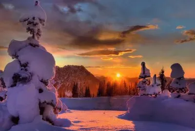 NEVE