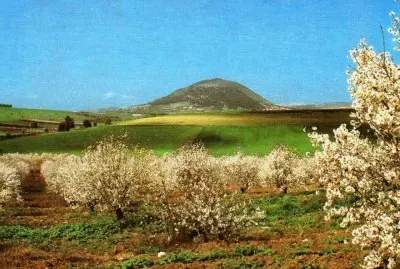 Natureza jigsaw puzzle