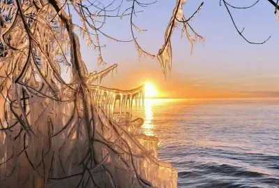 NEVE