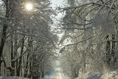 NEVE