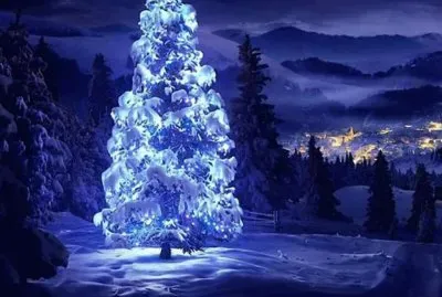 NEVE