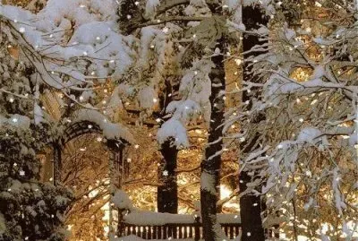 NEVE