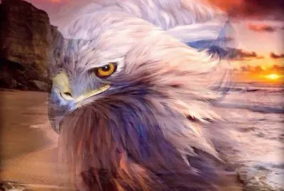 imagens jigsaw puzzle