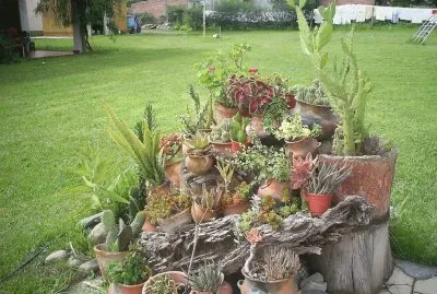 En San Pedro de Colalao. TucumÃ¡n. Argentina