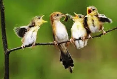 mom#194 jigsaw puzzle