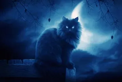 fantasia