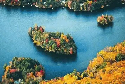 699 jigsaw puzzle
