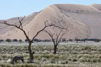 En el Desierto de Namibia