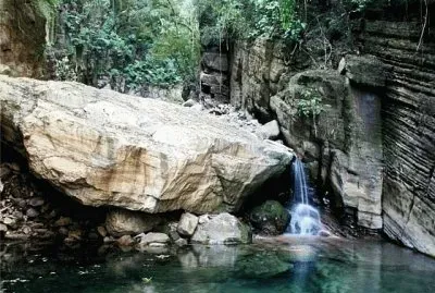 PN Calilegua. Salta. Argentina