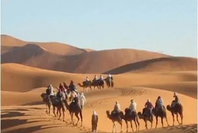 deserto jigsaw puzzle