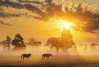 deserto