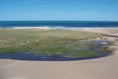 Vega de Zabala. Buenos Aires. Argentina
