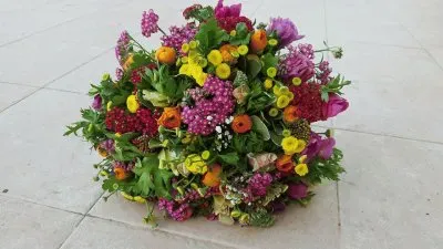 ×¤×¨×—×™×