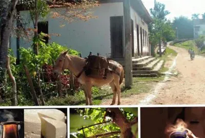 roÃ§a