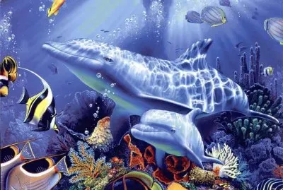 delfines