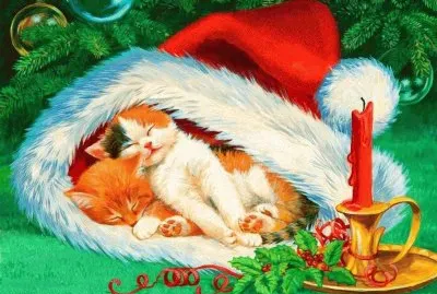 fpffpf897pfofd67ofof6i,