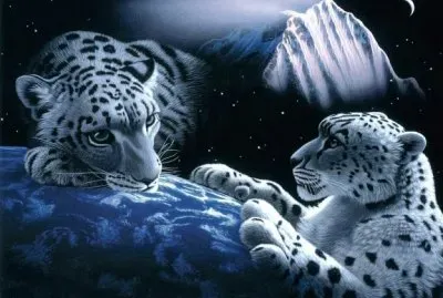 jjjjj556hgf666gg65re4444