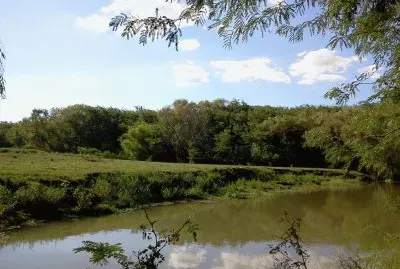 Cerca de Irazusta. Entre RÃ­os. Argentina