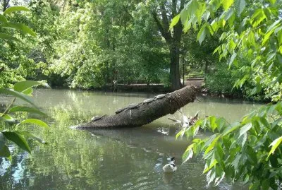 En la Ciudad de La Plata. Buenos Aires. Argentina