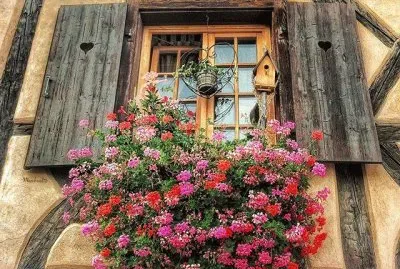 Estilo franco-alemÃ¡n.(Alsacia) jigsaw puzzle