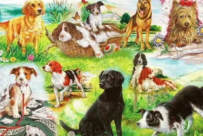 i7h hgg43rf ko9uzhgb jigsaw puzzle