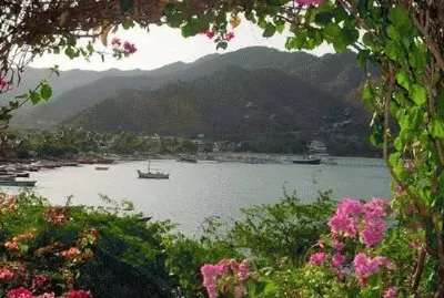 ventana de flores