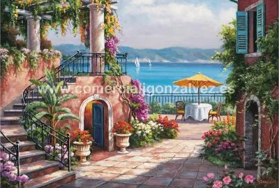imagenes