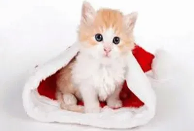 dec19
