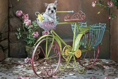 imagenes jigsaw puzzle