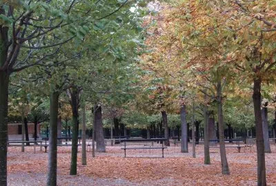 OtoÃ±o en Paris