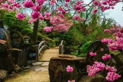 jardin jigsaw puzzle