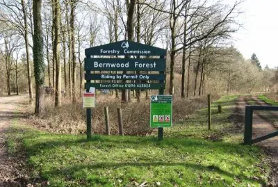 berntwood forest
