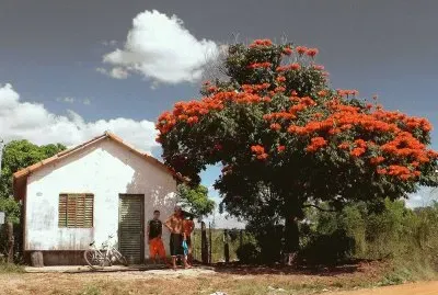 Vida Rural