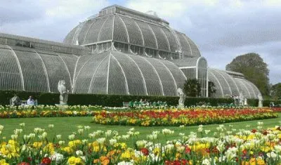 oto botanico jigsaw puzzle