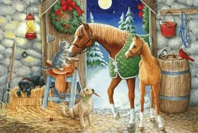 ss563 jigsaw puzzle