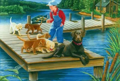 uzg65tf rd43w32qcerdx fcu6d